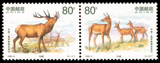1999-5 马鹿(中国与俄罗斯联合发行)
