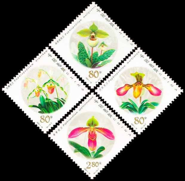 2001-18 兜兰