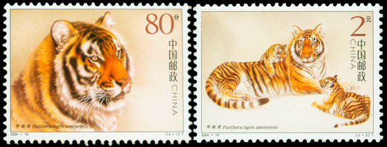 2004-19 华南虎