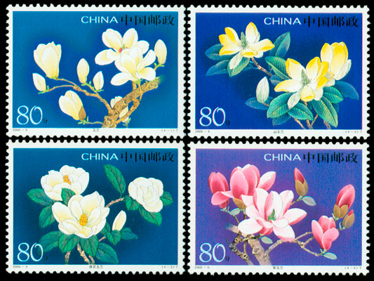 2005-5 玉兰花