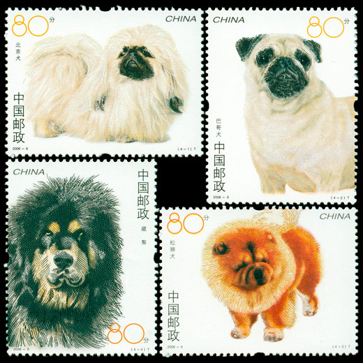 2006-6 犬
