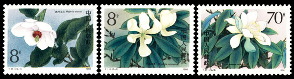 T111 珍稀濒危木兰科植物