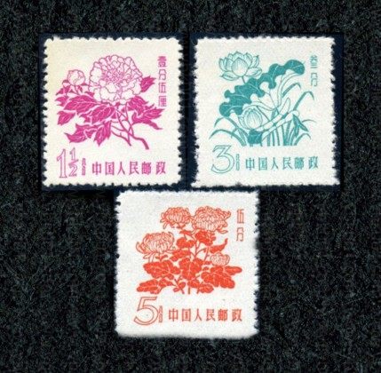 普10 花卉图 参考图