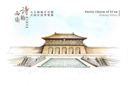 TP46诗韵西安 品种参考图