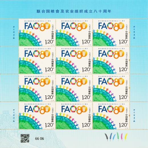 粮农组织成立八十周年大版 参考图