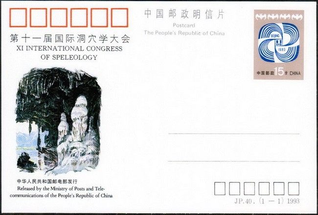 JP40 桥 品种参考图