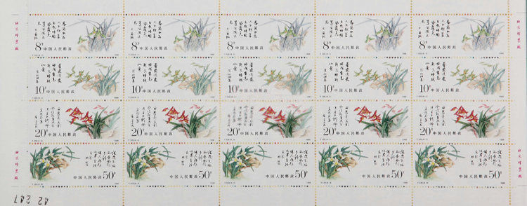 中国兰花（T129） 品种参考图