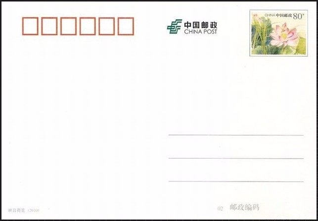 PP196映日荷花大片（双联白片） 品种参考图