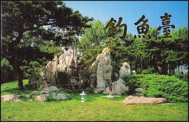 TP11钓鱼台 品种参考图