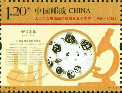 人工牛胰岛素套票 参考图