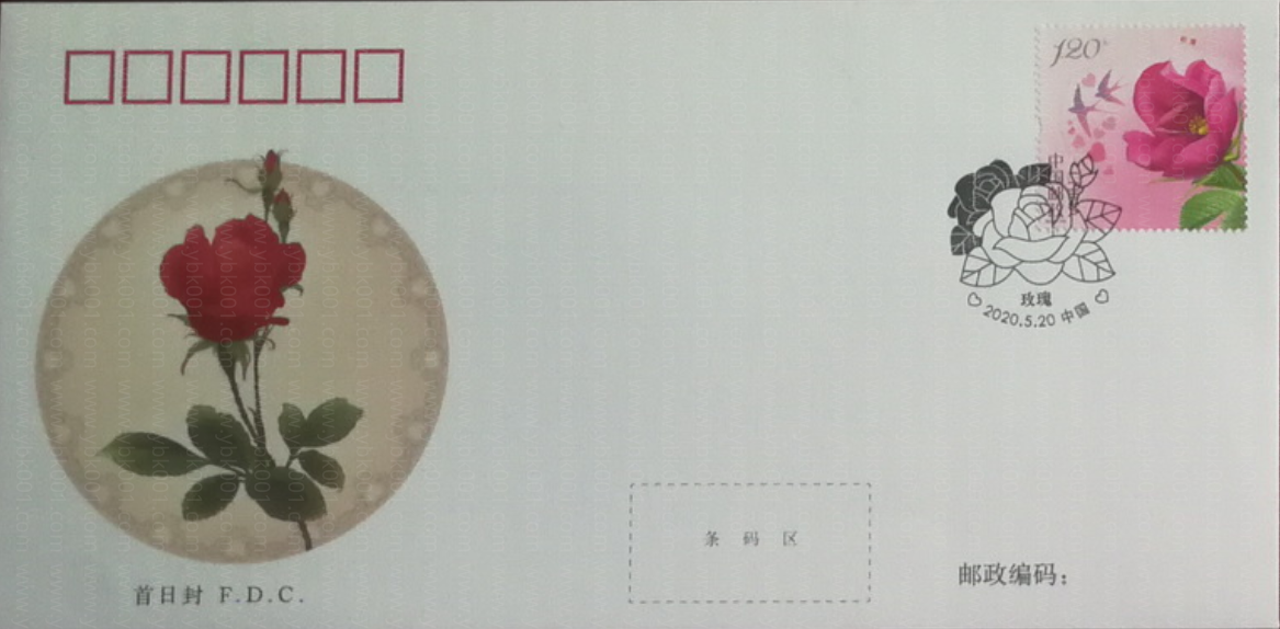 玫瑰（2020-10） 参考图