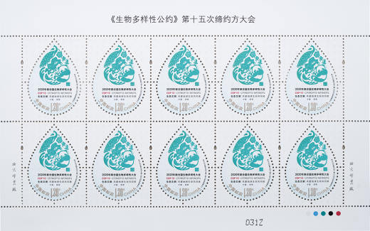 生物多样性公约大版 参考图