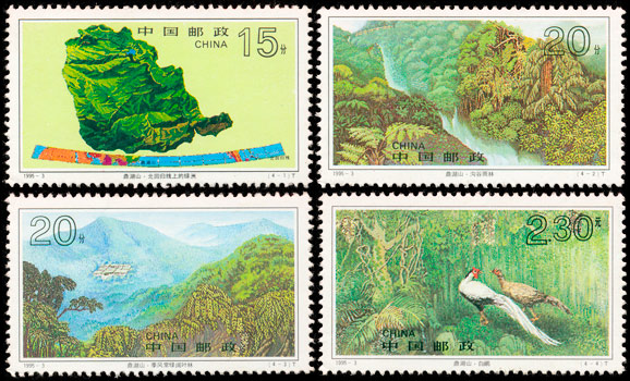 1995-3 鼎湖山(T) 品种参考图