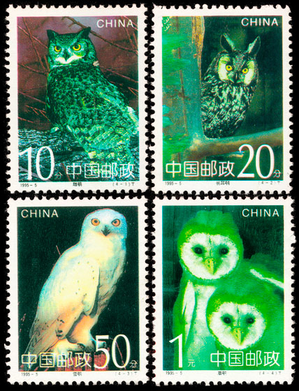 1995-5 �^(T) 品种参考图
