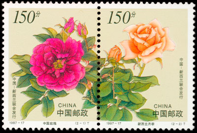 1997-17 花卉（中国与新西兰联合发行）(T) 品种参考图