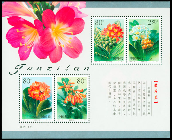 2000-24M 君子兰小全张 参考图