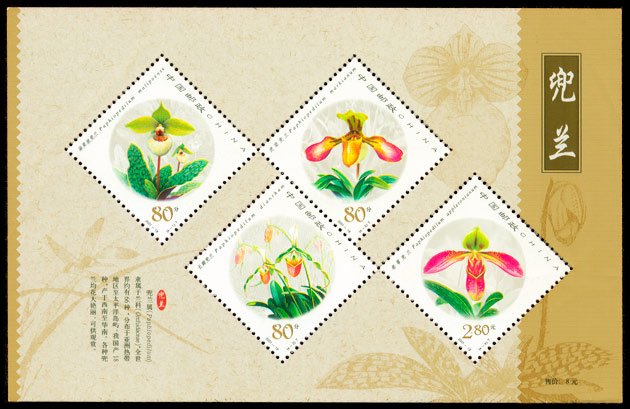 2001-18M 兜兰（小全张）(T) 品种参考图