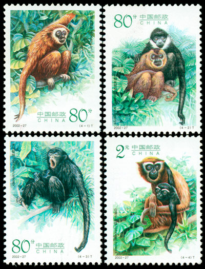 长臂猿（2002-27） 参考图