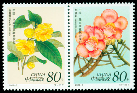 珍稀花卉（2002-3） 参考图