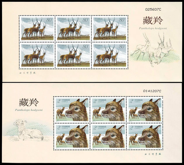 藏羚（2003-12） 参考图