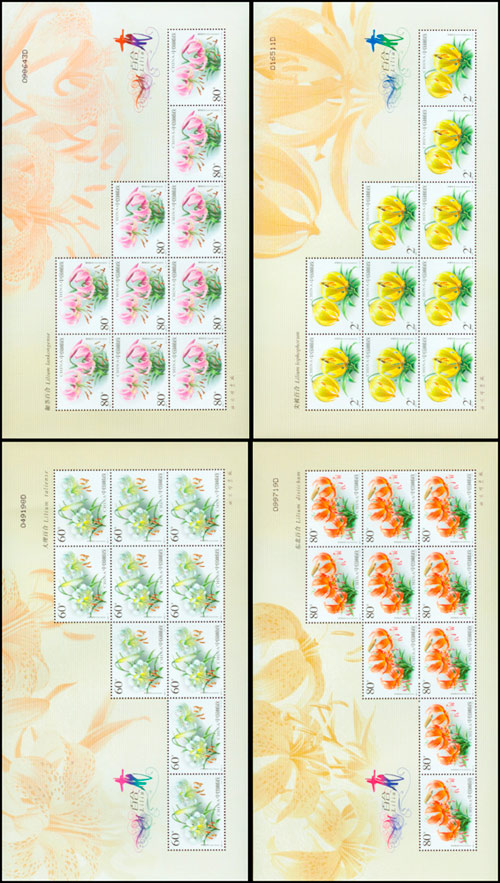 百合花（2003-4） 参考图