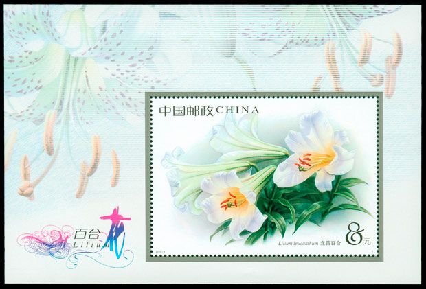 2003-4M 百合花小型张 参考图
