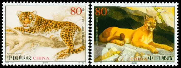 2005-23 金钱豹和美洲狮（中国与加拿大联合发行）(T) 品种参考图