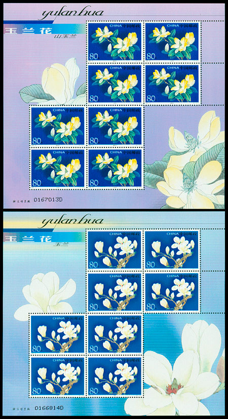 2005-5 玉兰花(T) 品种参考图