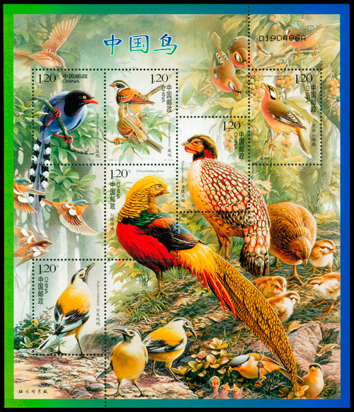 中国鸟（2008-4） 参考图