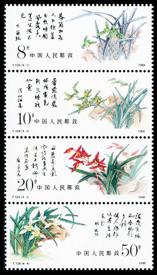 中国兰花（T129） 参考图