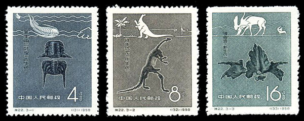 特22 中国古生物 品种参考图
