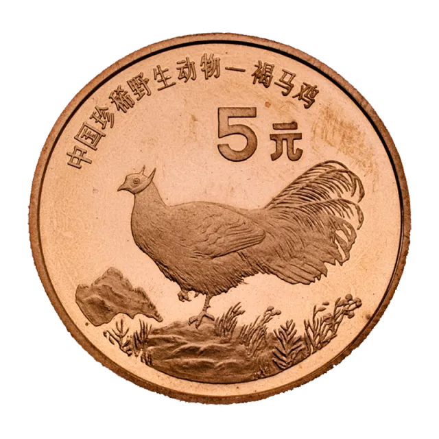 中国珍稀野生动物——褐马鸡普通纪念币 正面图